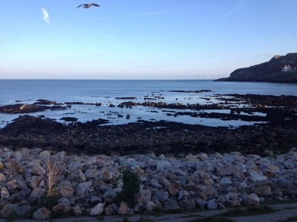 7 Rinaldi Cecilia.jpg